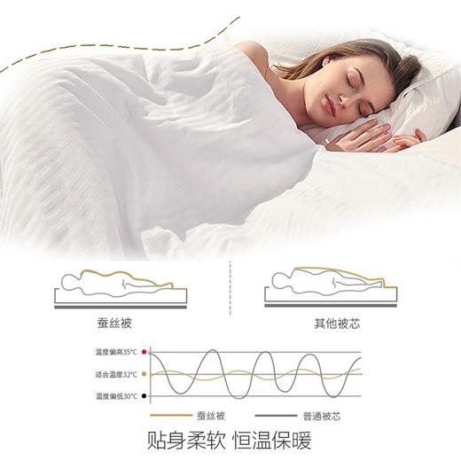 【桑蚕丝净重1斤】金三塔100%桑蚕丝蚕丝被  全棉胎布套（限价款） CSBC710 商品图2