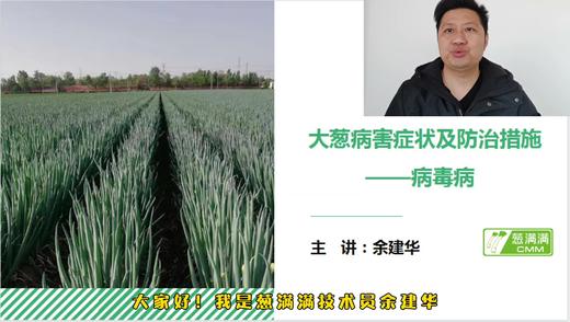 大葱病害防治——病毒病 商品图0