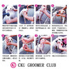 宠物浴液 基础洗 2500毫升 CKU GROOMER CLUB 学校教学 商品缩略图4