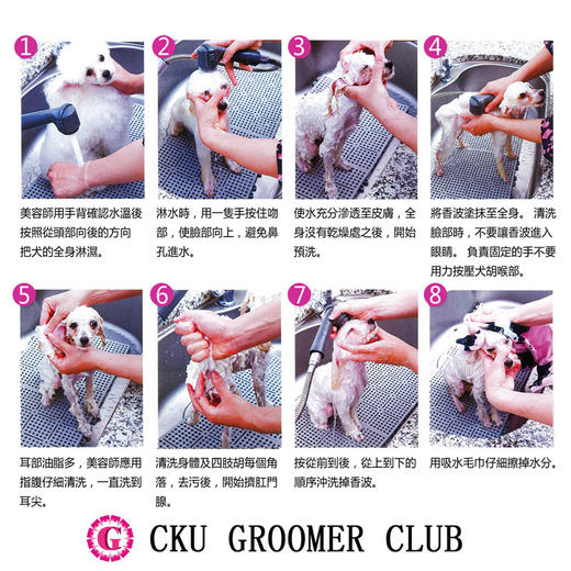 宠物浴液 基础洗 2500毫升 CKU GROOMER CLUB 学校教学 商品图4
