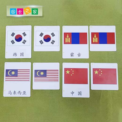 蒙氏教具世界国旗三段卡 商品图3