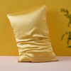 金三塔100%桑蚕丝枕套蚕丝单人信封式单面时尚撞色枕头套一个装  CSZT025 商品缩略图4