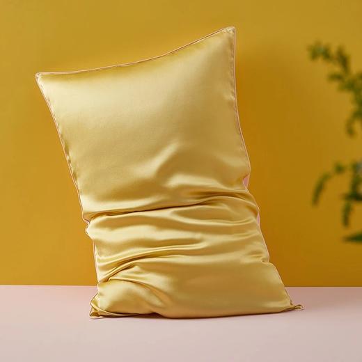 金三塔100%桑蚕丝枕套蚕丝单人信封式单面时尚撞色枕头套一个装  CSZT025 商品图4