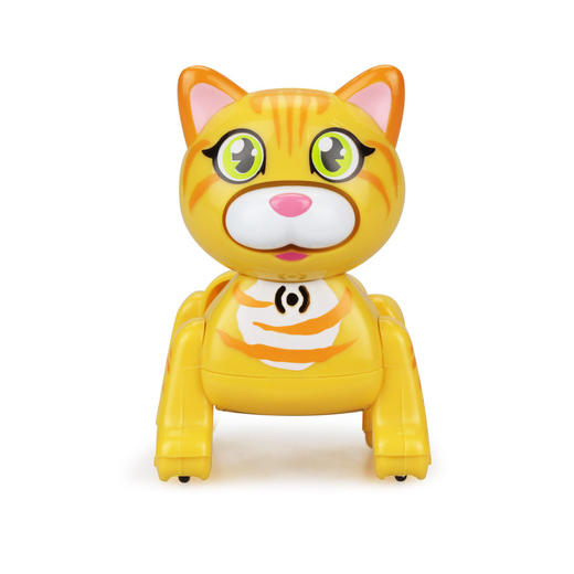 银辉  知趣美国短毛猫  SLVC885040CD00101 商品图1