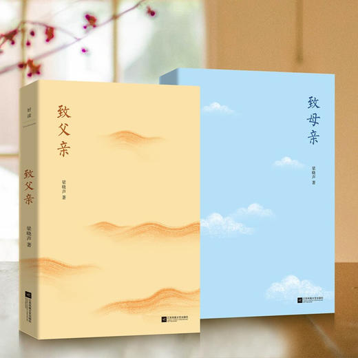 致父亲+致母亲 套装2册 梁晓声 著 梁晓声著人世间茅奖得主 朗读者栏目 让小孩子学会感恩家庭教育书籍 散杂文 商品图3