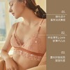 金三塔 法式蕾丝内衣女性感薄款舒适透气真丝无钢圈三角杯文胸夏 NZFCA394 商品缩略图2
