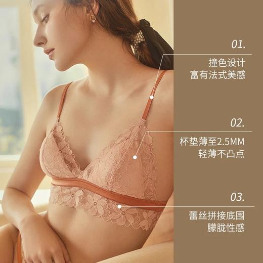 金三塔 法式蕾丝内衣女性感薄款舒适透气真丝无钢圈三角杯文胸夏 NZFCA394 商品图2