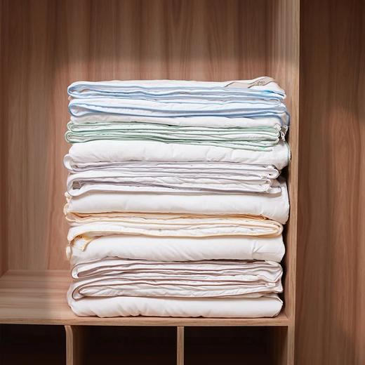 【桑蚕丝净重1斤】金三塔100%桑蚕丝蚕丝被  全棉胎布套（限价款） CSBC710 商品图3