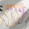 金三塔中腰三角真丝内裤女（三条装组合装）（私密物品不支持退换）NZF4B216  商品缩略图2