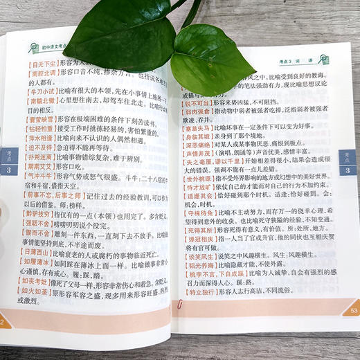 初中全科考点清单2022版（全9册）赠 音频 同步新教材 全面解析新中考 商品图2