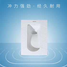 陶瓷蹲便器SD503
