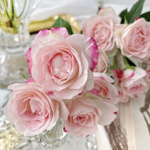 云南A级多头玫瑰（5-10头）/枝 商品图2