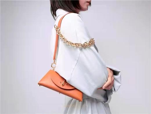 M海飞丝包+金属链+肩带 商品图4