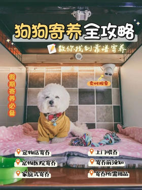 春节回家狗狗怎么办？