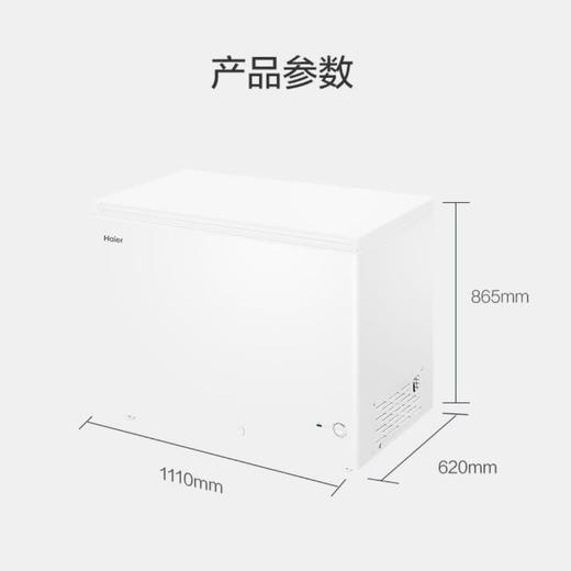 海尔（Haier）冷柜BC/BD-303HD白 商品图14