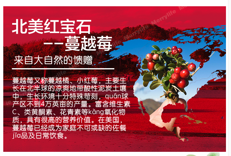 10月特价trunature蔓越莓胶囊高浓缩650mg粒140粒装美国代购无中文