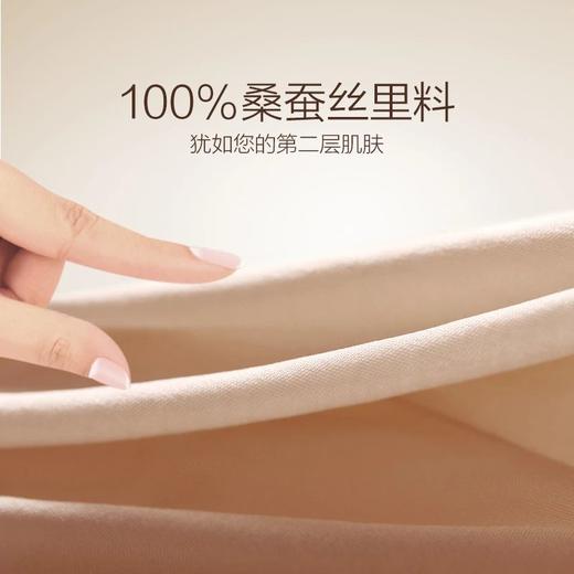 金三塔真丝无钢圈内衣女100%桑蚕丝里料棉花糖BRA聚拢文胸   NZFAB307 商品图2