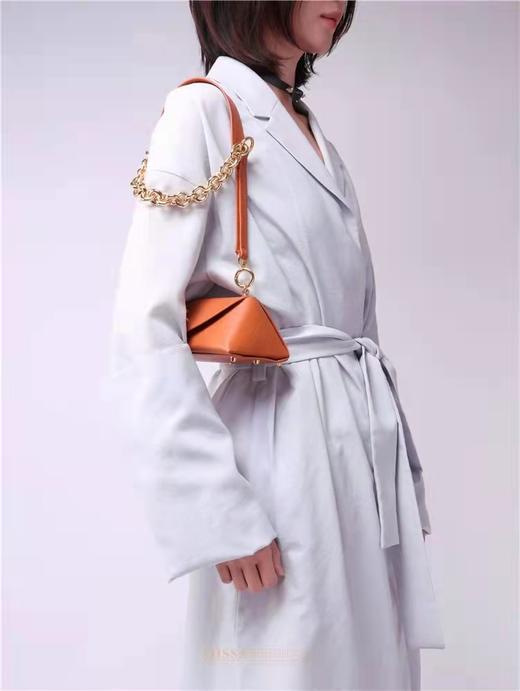 M海飞丝包+金属链+肩带 商品图3