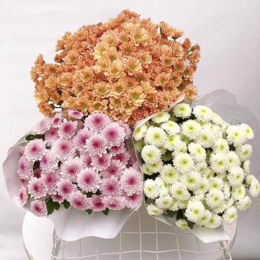 小雏菊（5枝）/份 商品图0