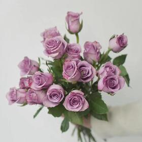 紫霞仙子玫瑰/枝