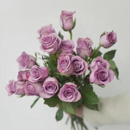 紫霞仙子玫瑰/枝 商品图0