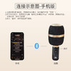 酷狗麦克风B3 PLUS 不含K歌权益 商品缩略图2