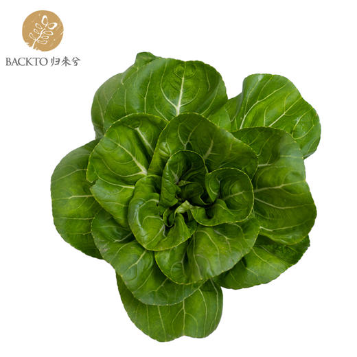 有机矮脚黄300g份仅限南京市配送