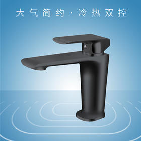 面盆龙头ST2108 黑色哑光