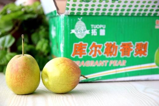 库尔勒香梨【TC】 商品图0