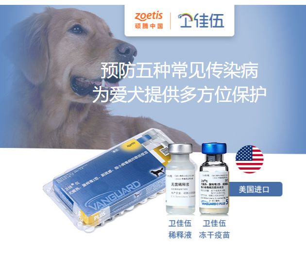 #卫佳5（需冷藏）有效期2026年9月20号到期 成份：犬瘟，细小，副流感，传染性肝炎，传染性支气管炎预防犬瘟、细小、肝炎、犬副流感