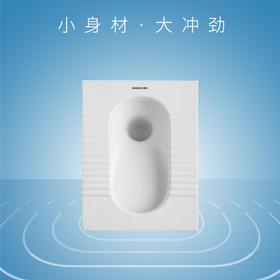 陶瓷蹲便器SD501