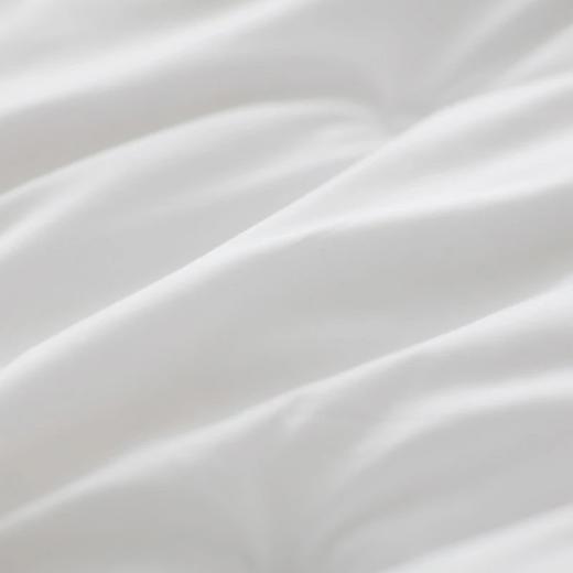 【桑蚕丝净重1斤】金三塔100%桑蚕丝蚕丝被  全棉胎布套（限价款） CSBC710 商品图4