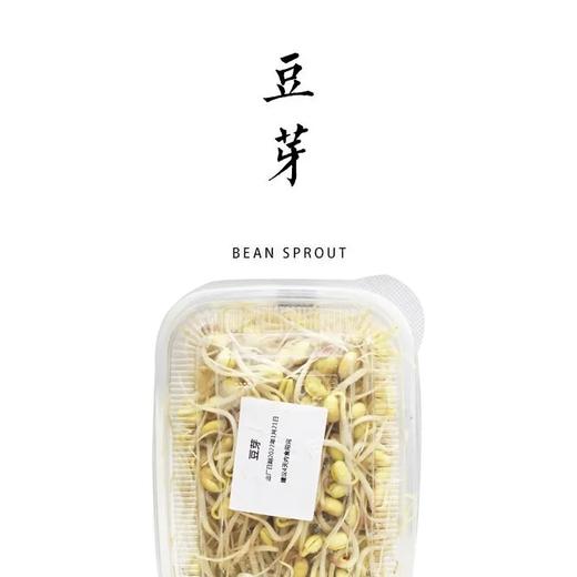 合作｜豆芽 300g 商品图0