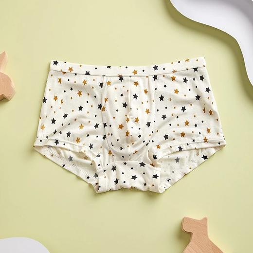 金三塔 真丝印花男童内裤 桑蚕丝薄款透气平角裤（私密物品不支持退换） NZMBA201 商品图1