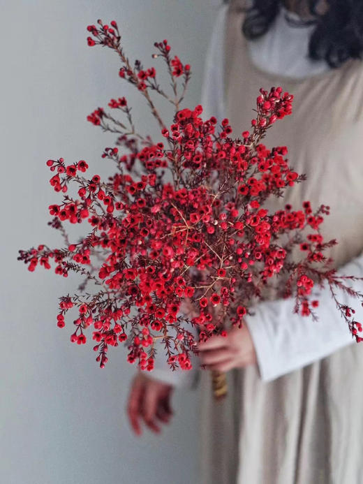 活动澳洲腊梅 商品图0