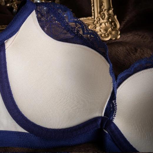 金三塔依洛丝摩登时尚系列100%桑蚕丝深V款中厚杯舒适优雅 超值NZF6A317 商品图4