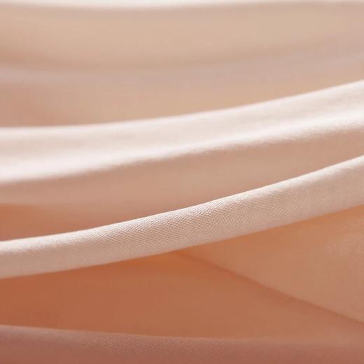 金三塔秋季新品 真丝内裤女中腰透气蕾丝性感三角裤（私密物品不支持退换）  NZFAB204 商品图4