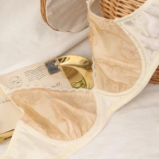 金三塔海豚刺绣内衣女法式蕾丝宽肩带小胸聚拢上托真丝文胸套装 NZFBC393 商品图4