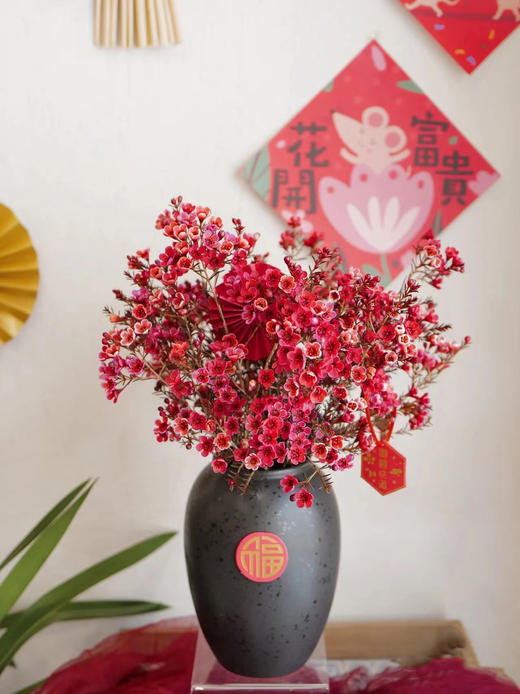 活动澳洲腊梅 商品图2