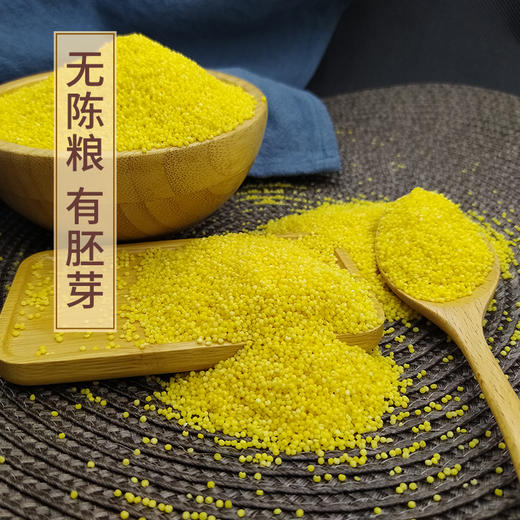 【粒博士】有机胚芽黄小米500g 商品图2