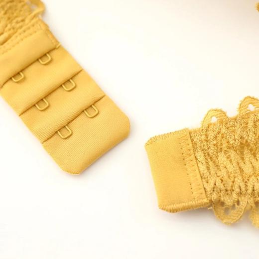 金三塔真丝性感蕾丝无钢圈内衣女 聚拢桑蚕丝文胸 NZFBA302 商品图5