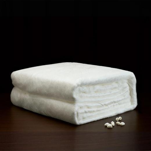 【桑蚕丝净重1斤】金三塔100%桑蚕丝蚕丝被  全棉胎布套（限价款） CSBC710 商品图1