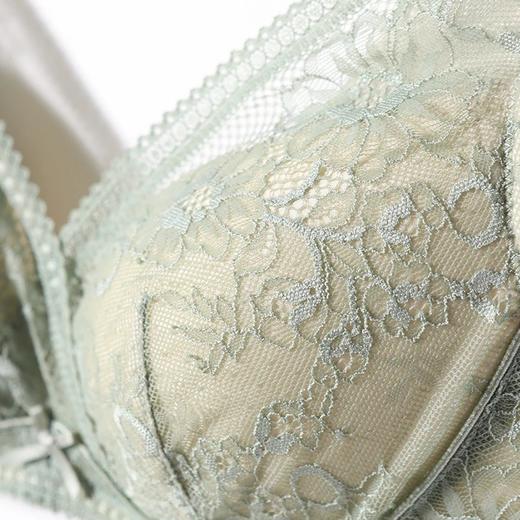 金三塔新品 真丝无钢圈内衣女 性感聚拢透气文胸  NZFAC302 商品图3