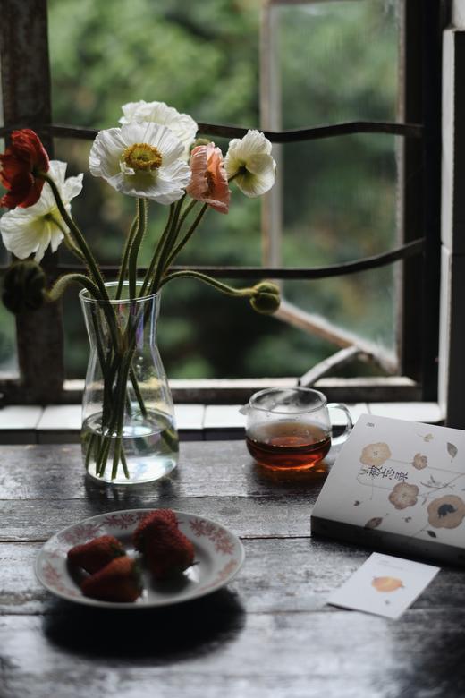 虞美人【骓不逝兮可奈何，虞兮虞兮奈若何！】比利时国花 油画质感花材虞美人PLUS  混色1束  48小时内发货 商品图5