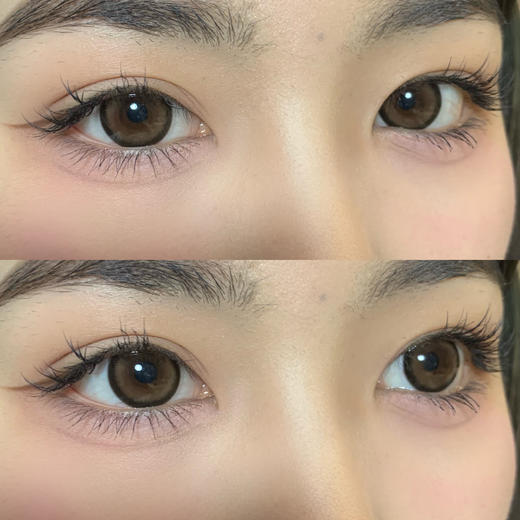 平价大直径丨奶油猪·Jellibo丨14.5mm（年抛/2片装) 商品图9