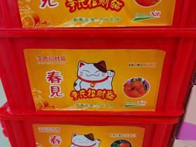招财猫小件耙耙柑