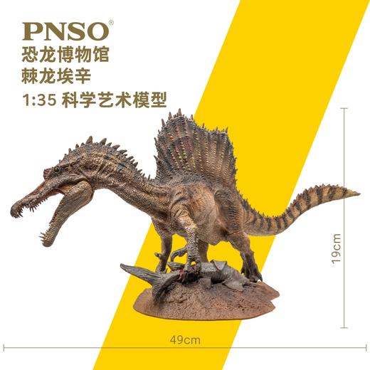 PNSO新版棘龙埃辛恐龙博物馆1:35科学艺术模型 商品图2