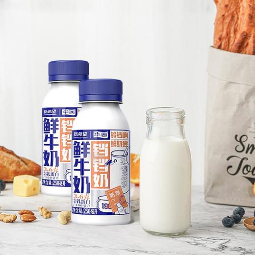 新希望PET铛铛鲜奶250ml 商品图4