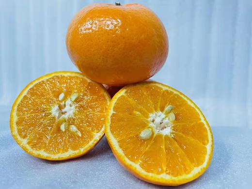 发财沃柑 件装 5kg 商品图2