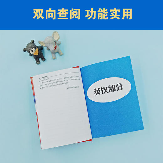 新英汉汉英词典 商品图3